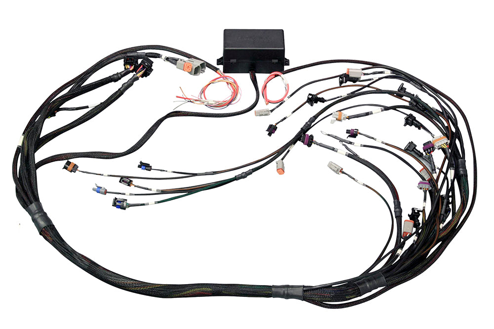 Elite 2500 GM GEN IV LSx (LS2/LS3 etc) DBW Ready Terminated Harness, Injector Connector: Bosch EV6 (as per factory)