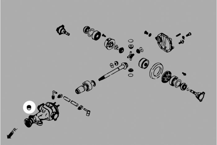 Rear Differential Mount Bush