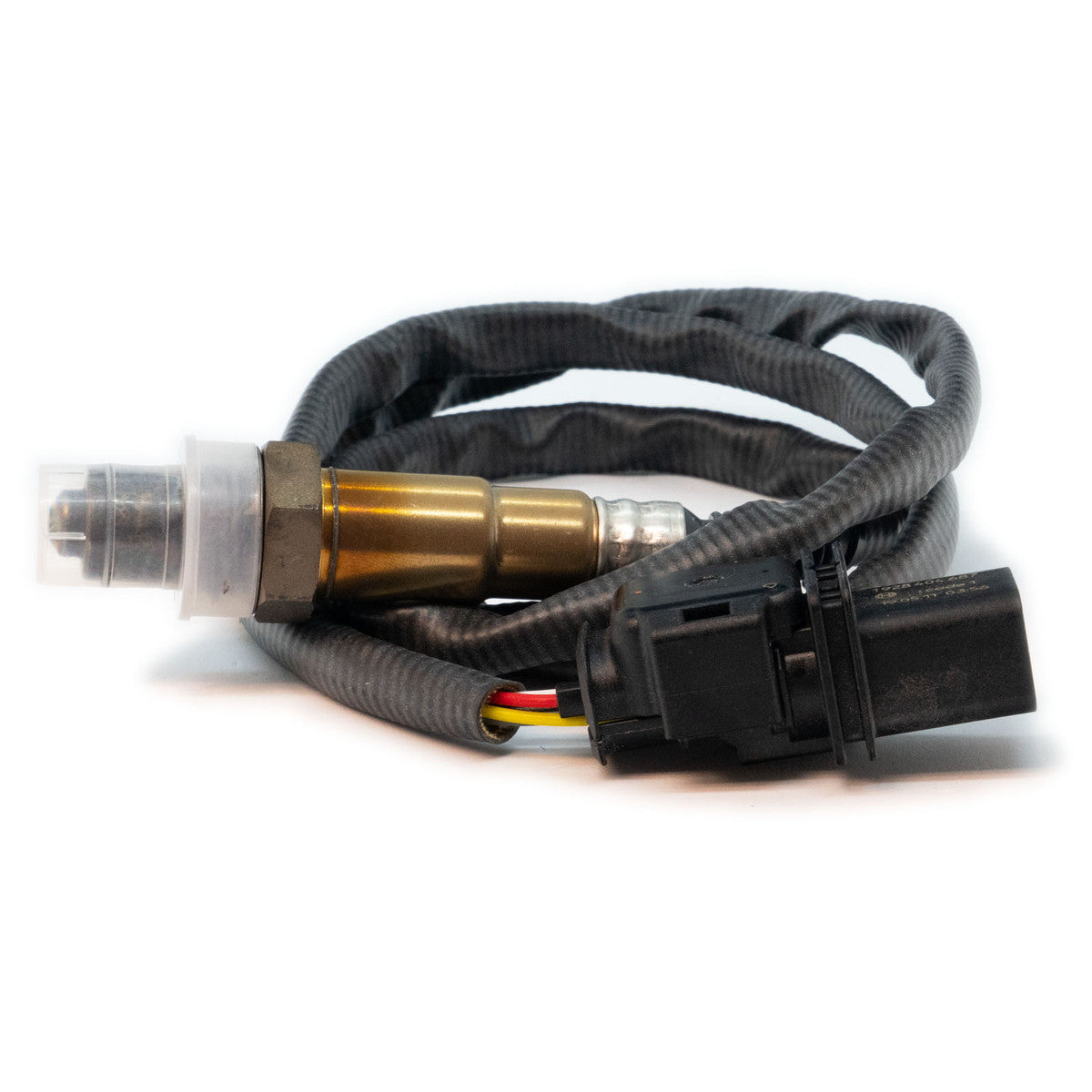Link Digital Wideband CAN Module with Bosch 4.9 sensor