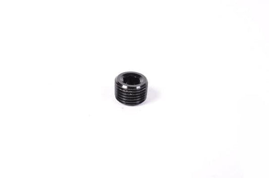 Radium 1/8Npt Plug