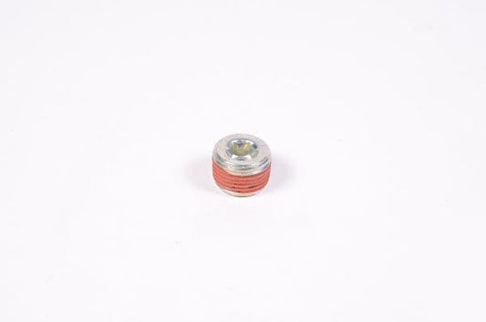 Radium 3/8Npt Plug.